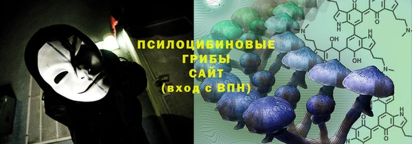 гидропоника Алексеевка