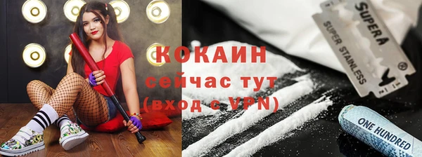 твердый Алексин