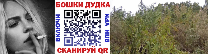 дарнет шоп  Березники  Каннабис конопля 